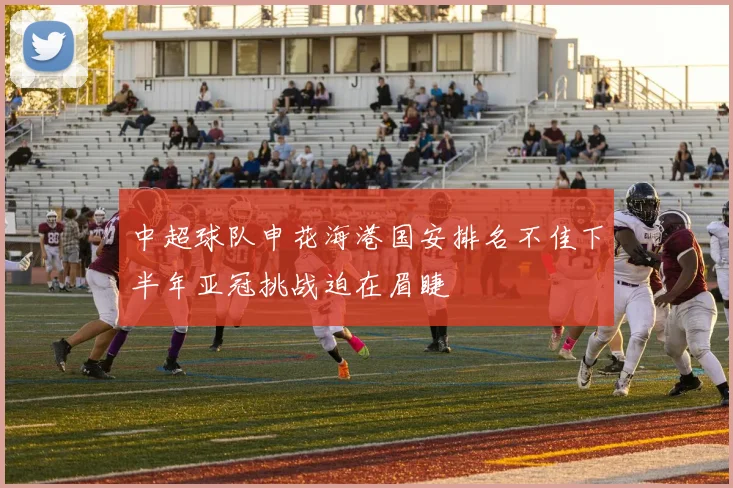 中超球队申花海港国安排名不佳下半年亚冠挑战迫在眉睫