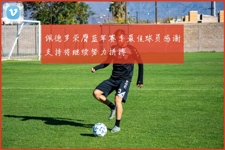 佩德罗荣膺蓝军赛季最佳球员感谢支持将继续努力拼搏