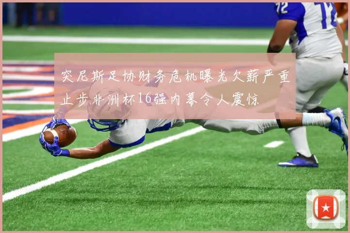 突尼斯足协财务危机曝光欠薪严重止步非洲杯16强内幕令人震惊